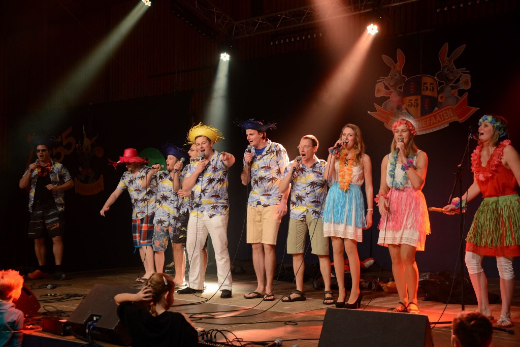 ../Images/Liedjesfestival 2014 338.jpg